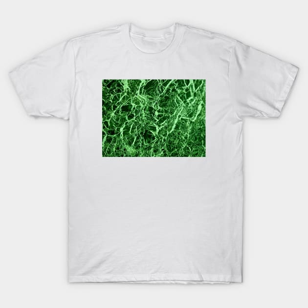 Green Marble Texture T-Shirt by MarbleTextures